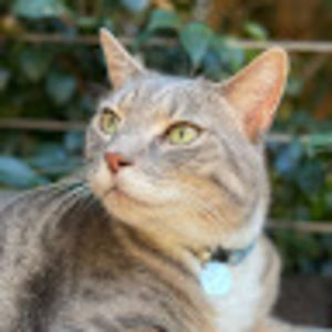 Meet your Posher, Winnie